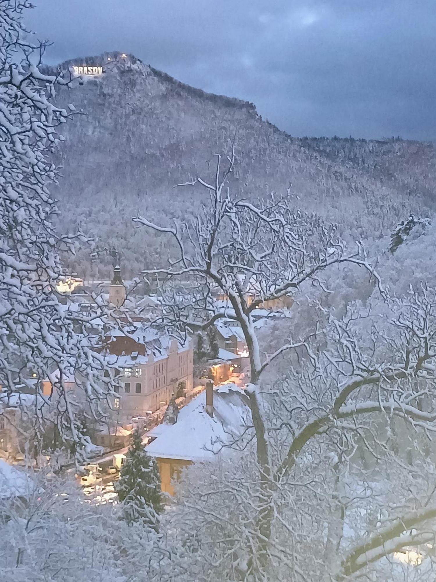 The Bungalow Brasov Exterior photo